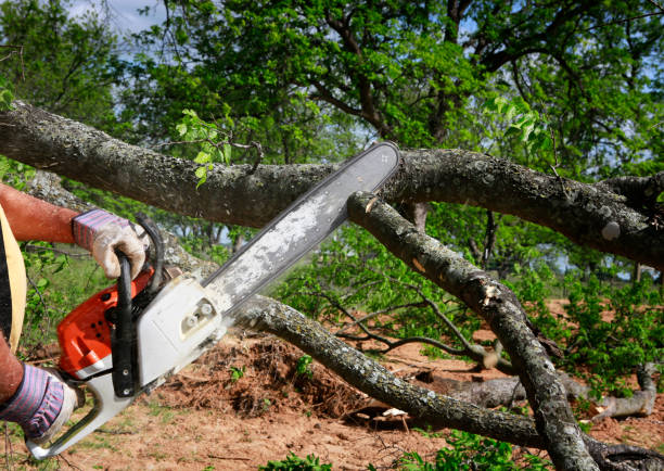 Mulching Services in Brooktrails, CA